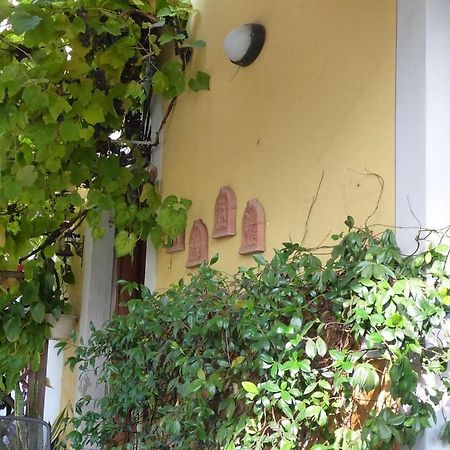 B&B Il Casale Di Nanni Lucca Ngoại thất bức ảnh